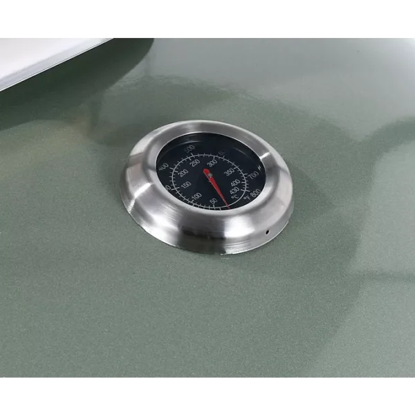 Barbecue charbon ESSENTIELB EBCK1 vert sur pieds 55 cm