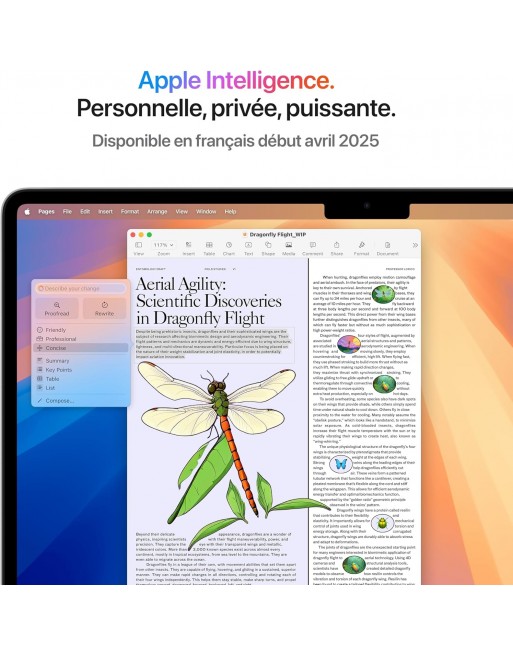 MacBook Air 13'' M4 16 Go RAM 256 Go SSD CPU 10 cœurs GPU 8 cœurs Argent Nouveau